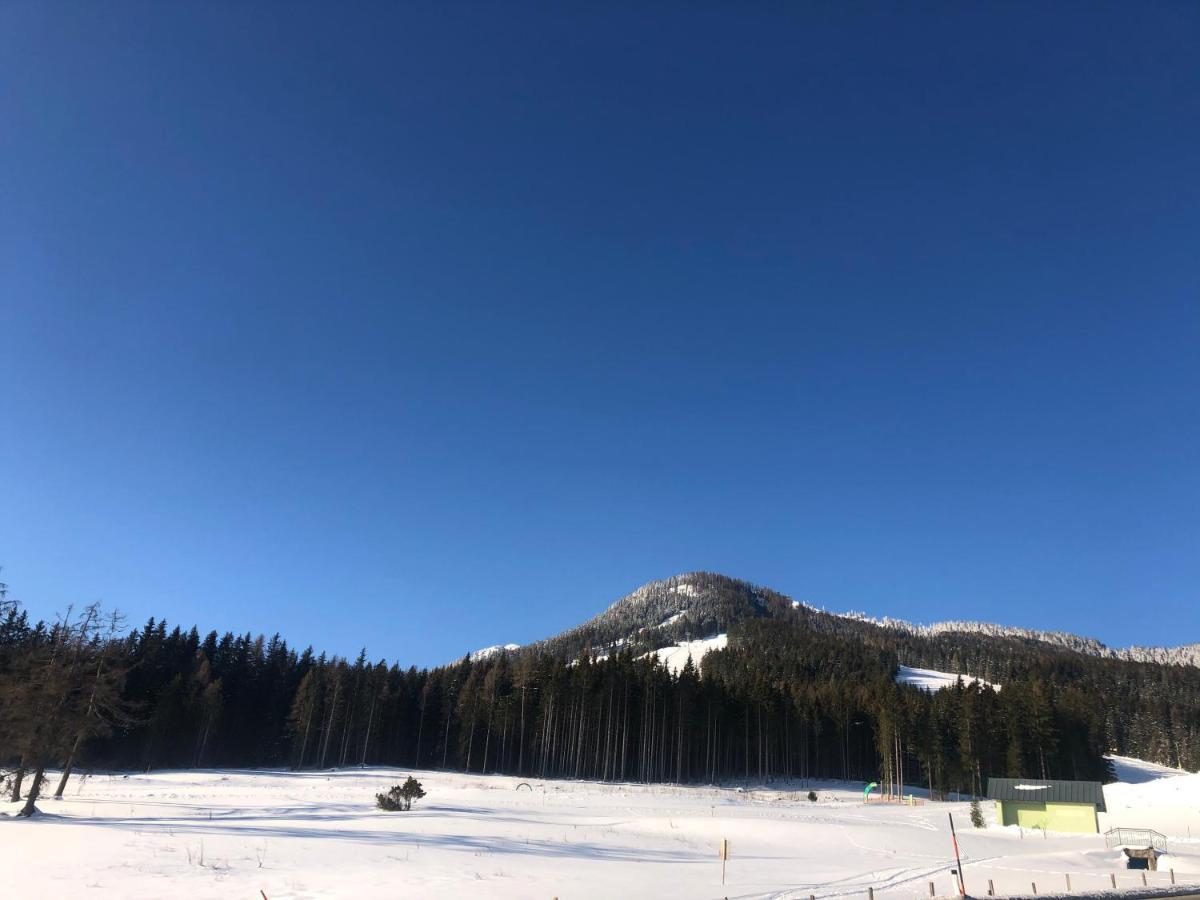 Appartement Schwab Ski In & Out Шладминг Екстериор снимка